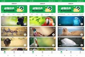 动物叫声 一款聚合类动物叫声合集APP