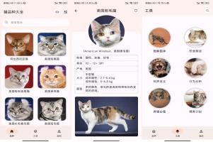 猫品种大全 一个专注于全面的猫品种百科全书