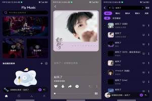 Fly音乐-Plus 一个优质全新的音乐播放APP